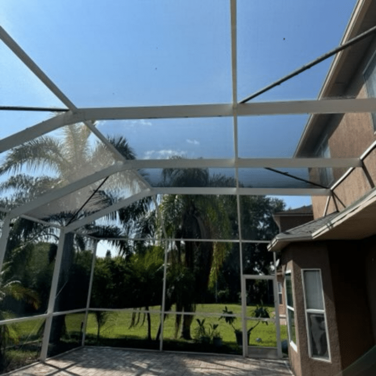Pool Cage Cleaning