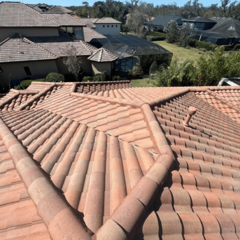 Roof Cleaning