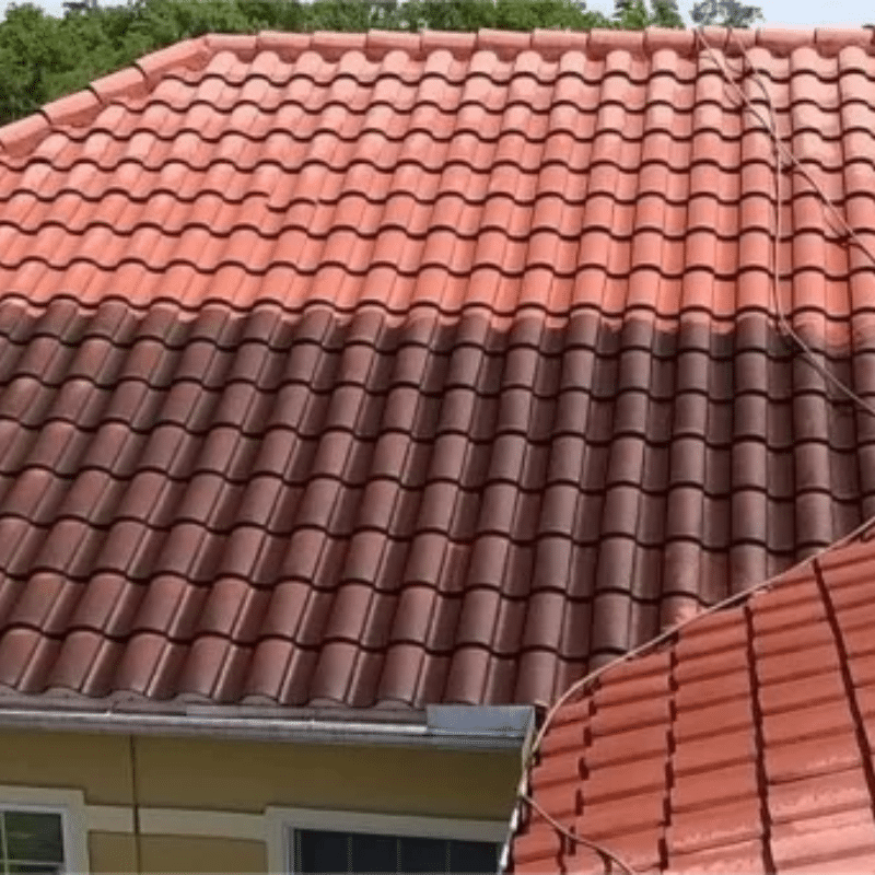 Roof Cleaning Company in Bradenton, FL
